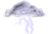 Heavy Thunderstorm